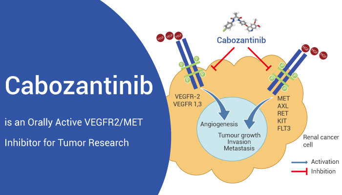 Caboantinib