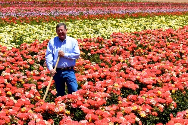 Lets win time and hope