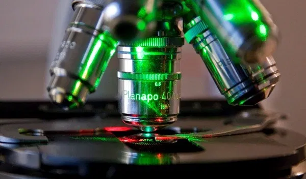 lets win review 2020